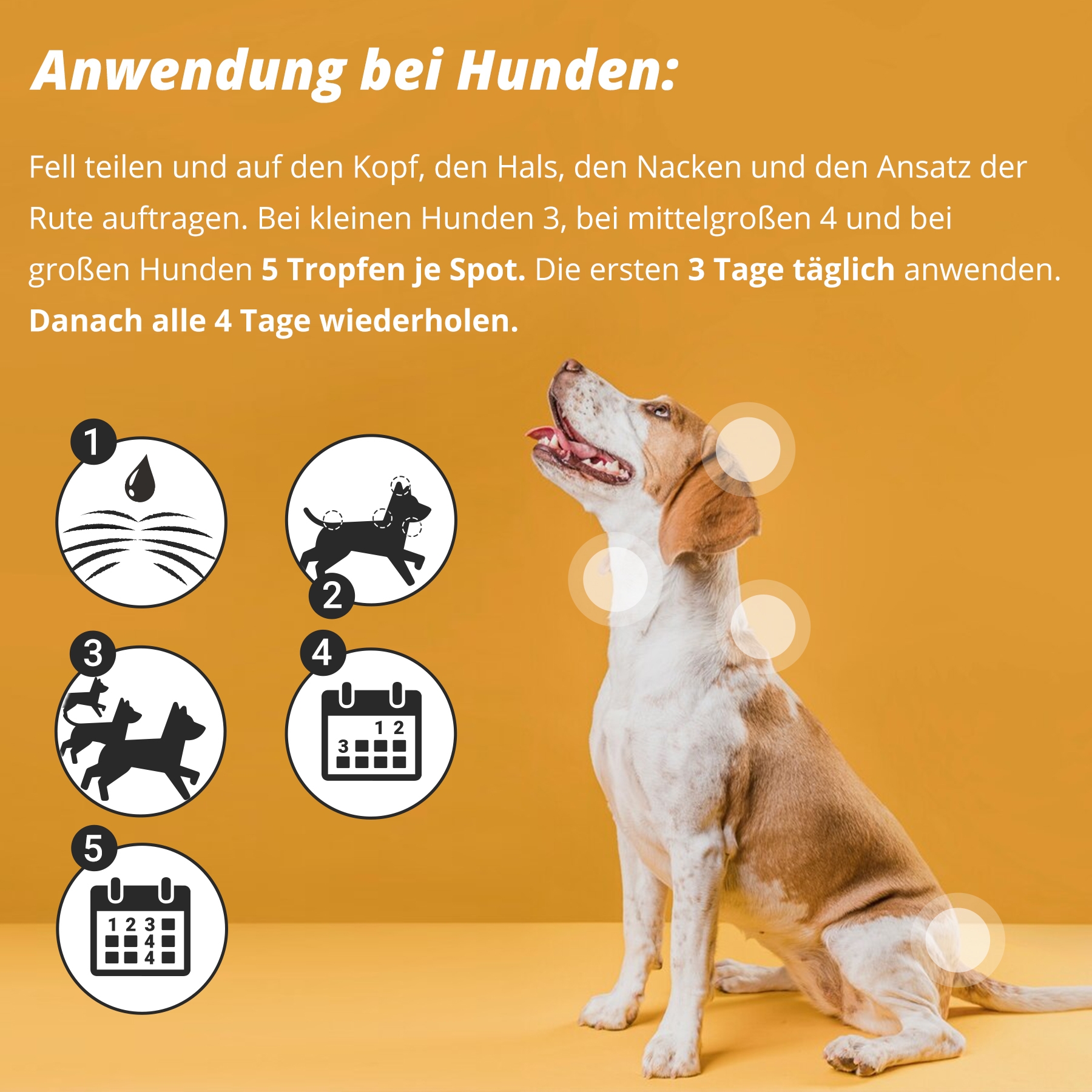 Marsavet Spot-On 50 ml