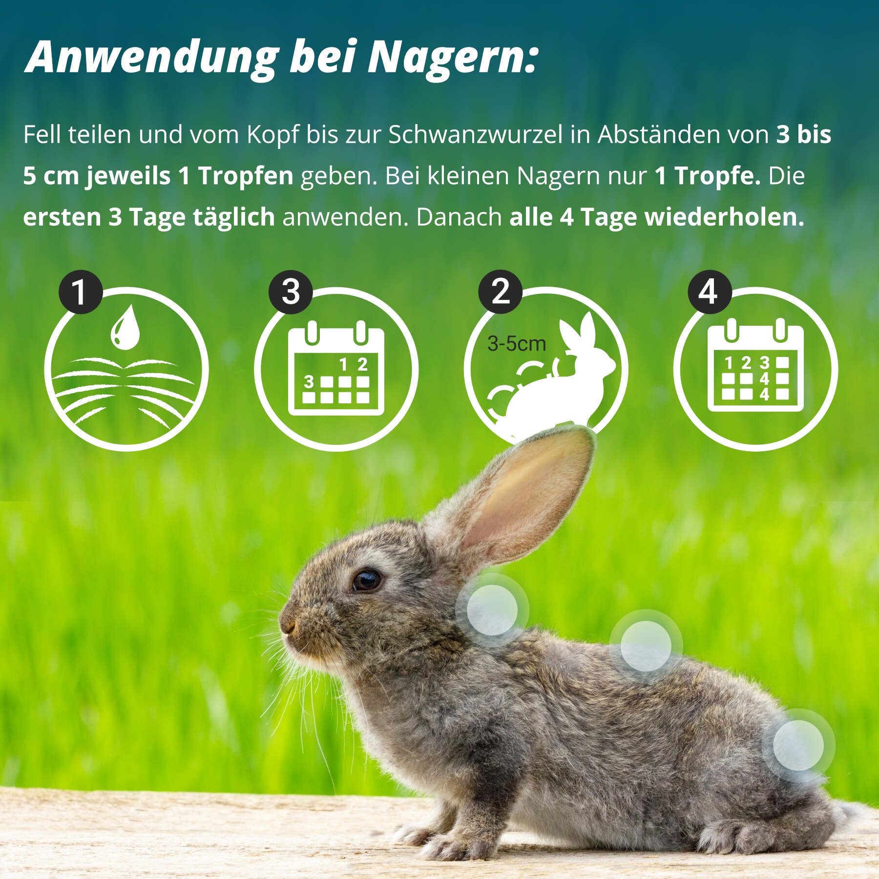 Marsavet Spot-On 50 ml