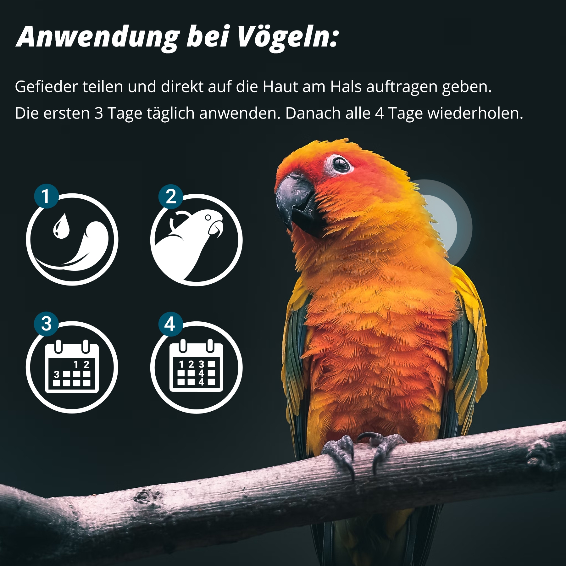 Marsavet Spot-On 50 ml