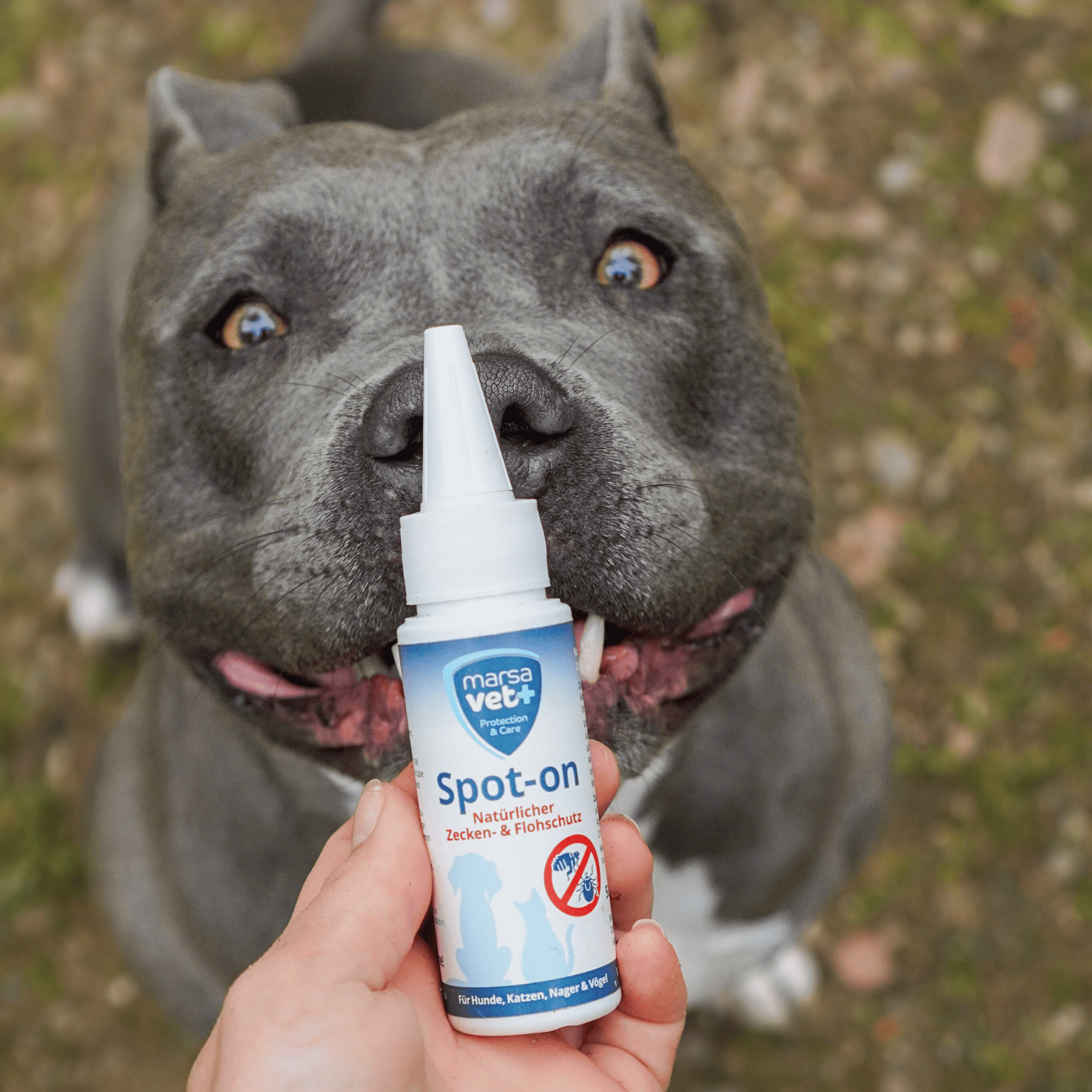 Marsavet Spot-On 50 ml