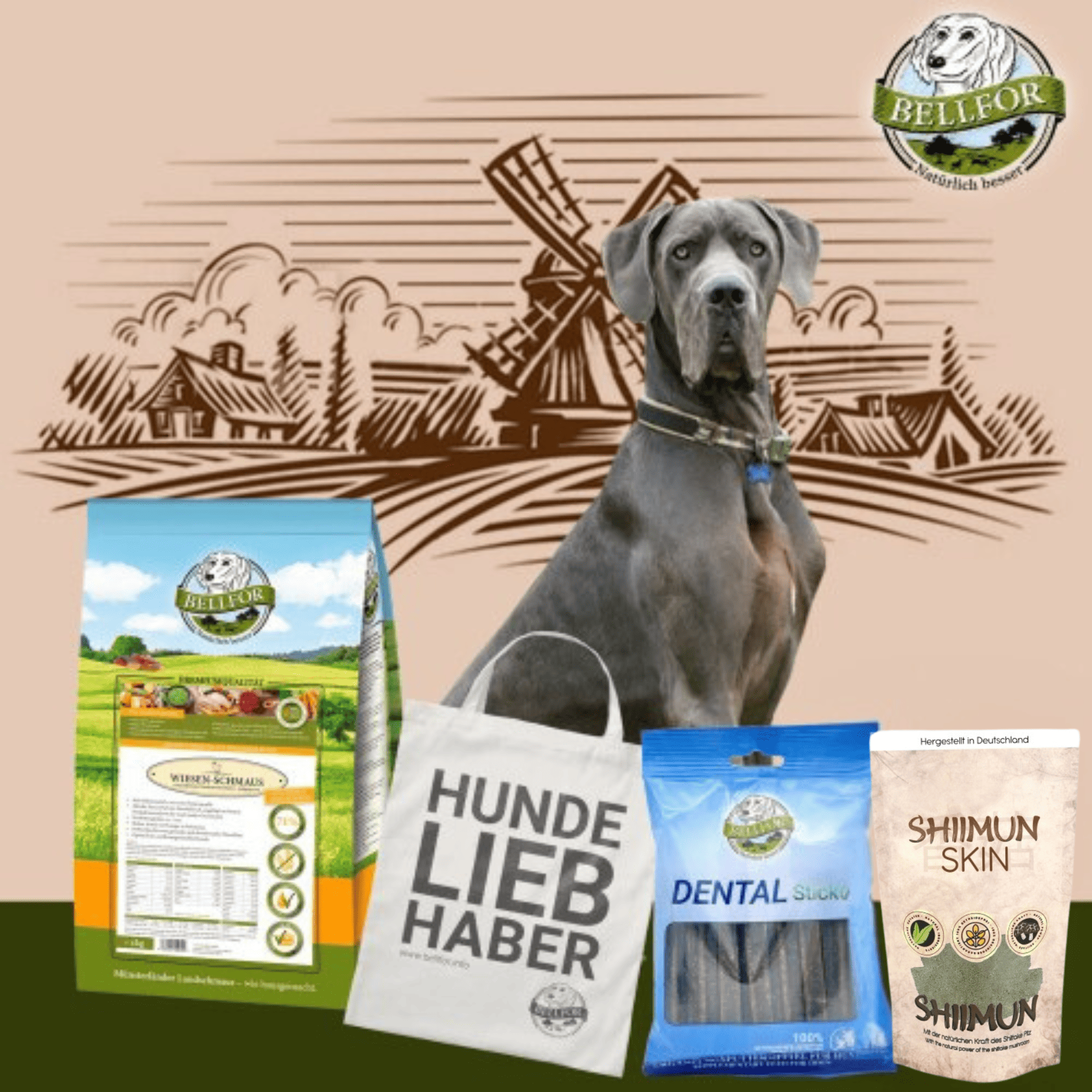 Deutsche Doggen Futter Set - Wiesen-Schmaus 4 kg + Dental Sticks 100 g + Shiimun Skin Pulver 50 g + 1 Jutebeutel