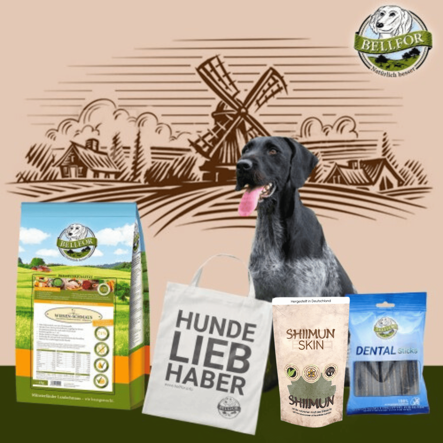 Deutsch Drahthaar Futter Set - Wiesen-Schmaus 4 kg + Dental Sticks 100g + Shiimun Skin Pulver 50 g + 1 Jutebeutel