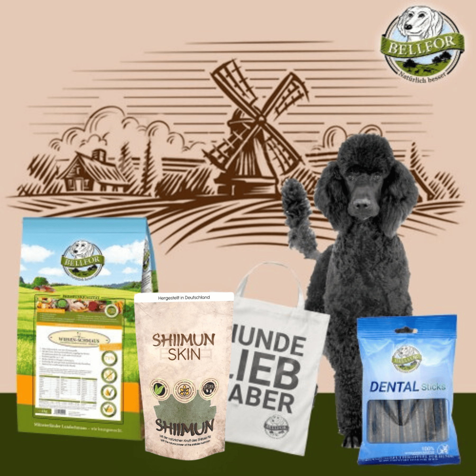 Groß Pudel Futter Set - Wiesen-Schmaus 4 kg + Dental Sticks 100 g + Shiimun Skin Pulver 50 g + 1 Jutebeutel