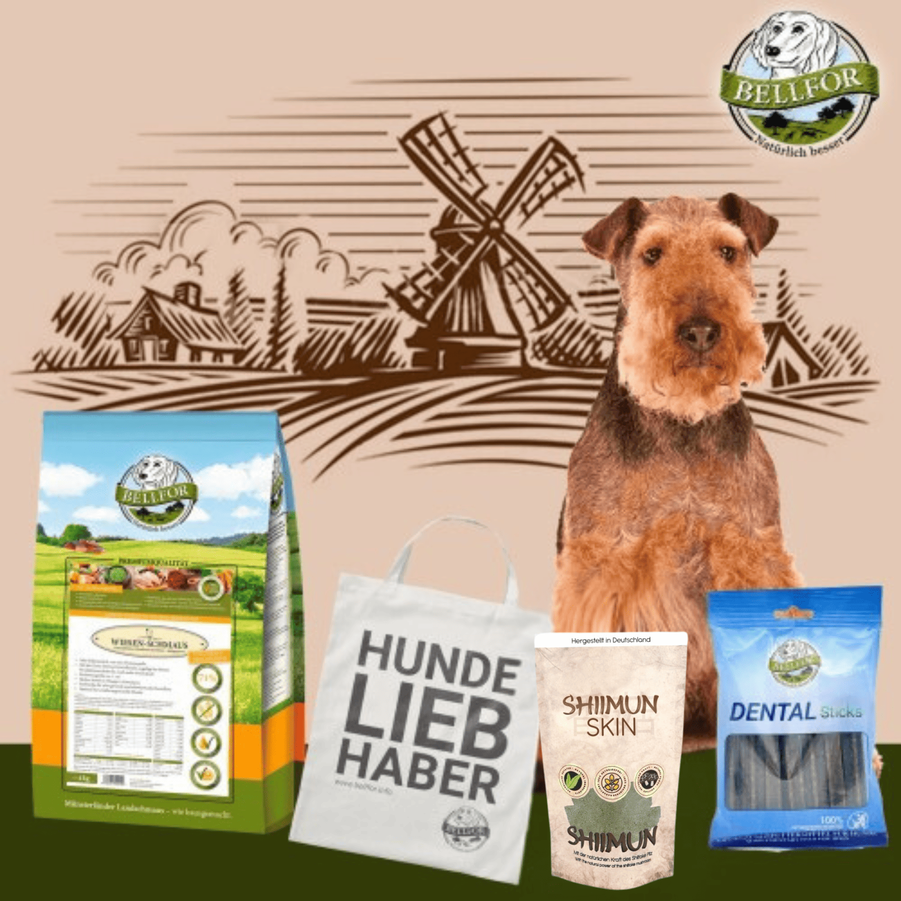 Airedale Terrier Futter Set - Wiesen-Schmaus 4 kg + Dental Sticks 100g + Shiimun Skin Pulver 50g + 1 Jutebeutel