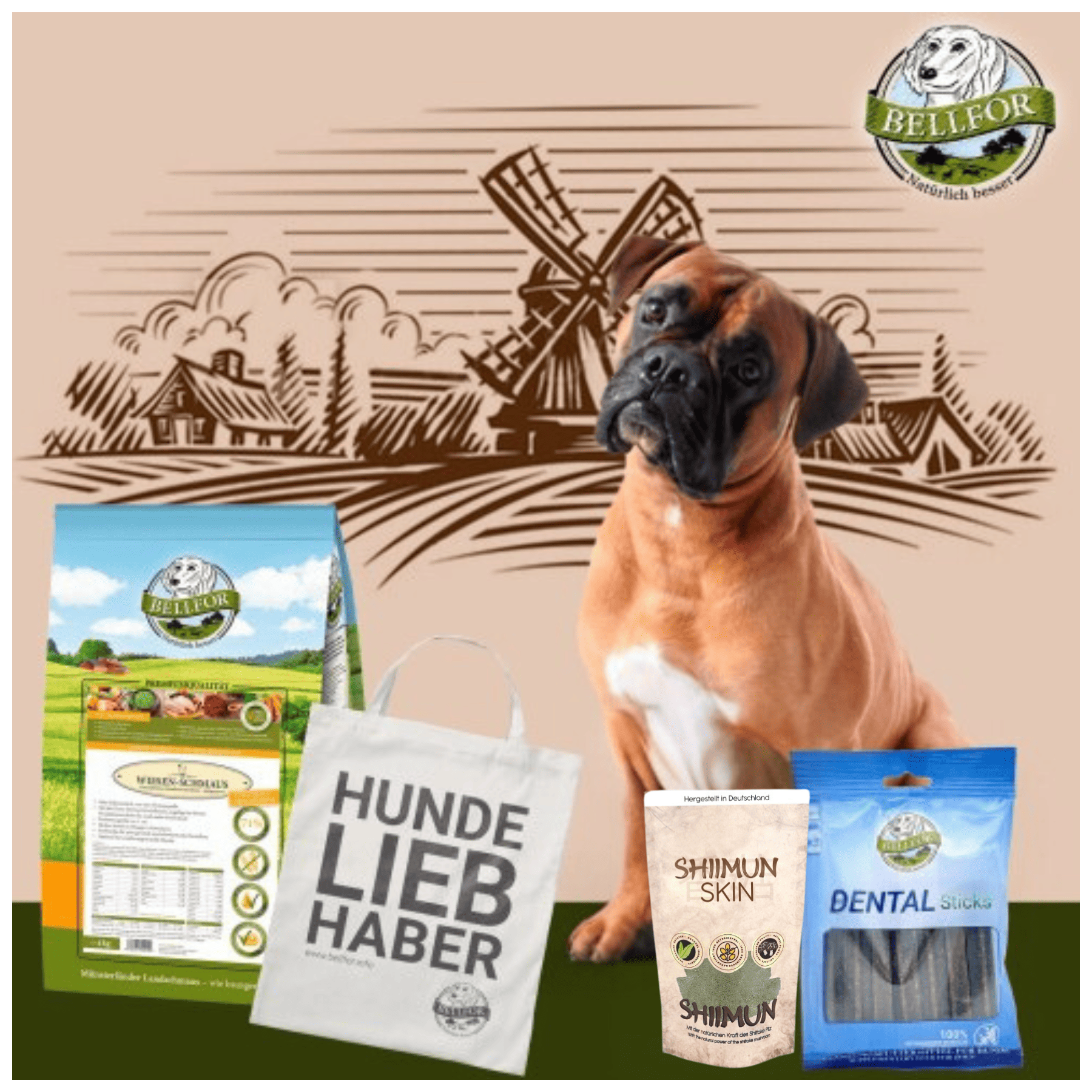Boxer Futter Set - Wiesen-Schmaus 4 kg + Dental Sticks 100g + Shiimun Skin Pulver 50g + 1 Jutebeutel