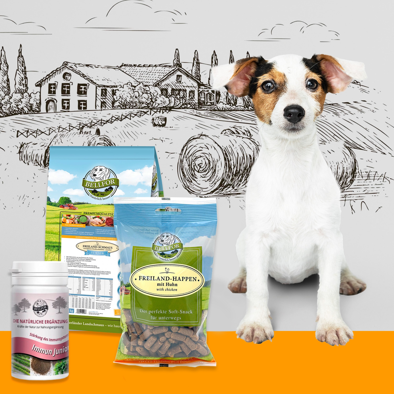 Welpenfutter Set für kleine Rassen: getreidefreie Trockenfutter + gesunde Soft-snack + Immun Pulver für Welpen