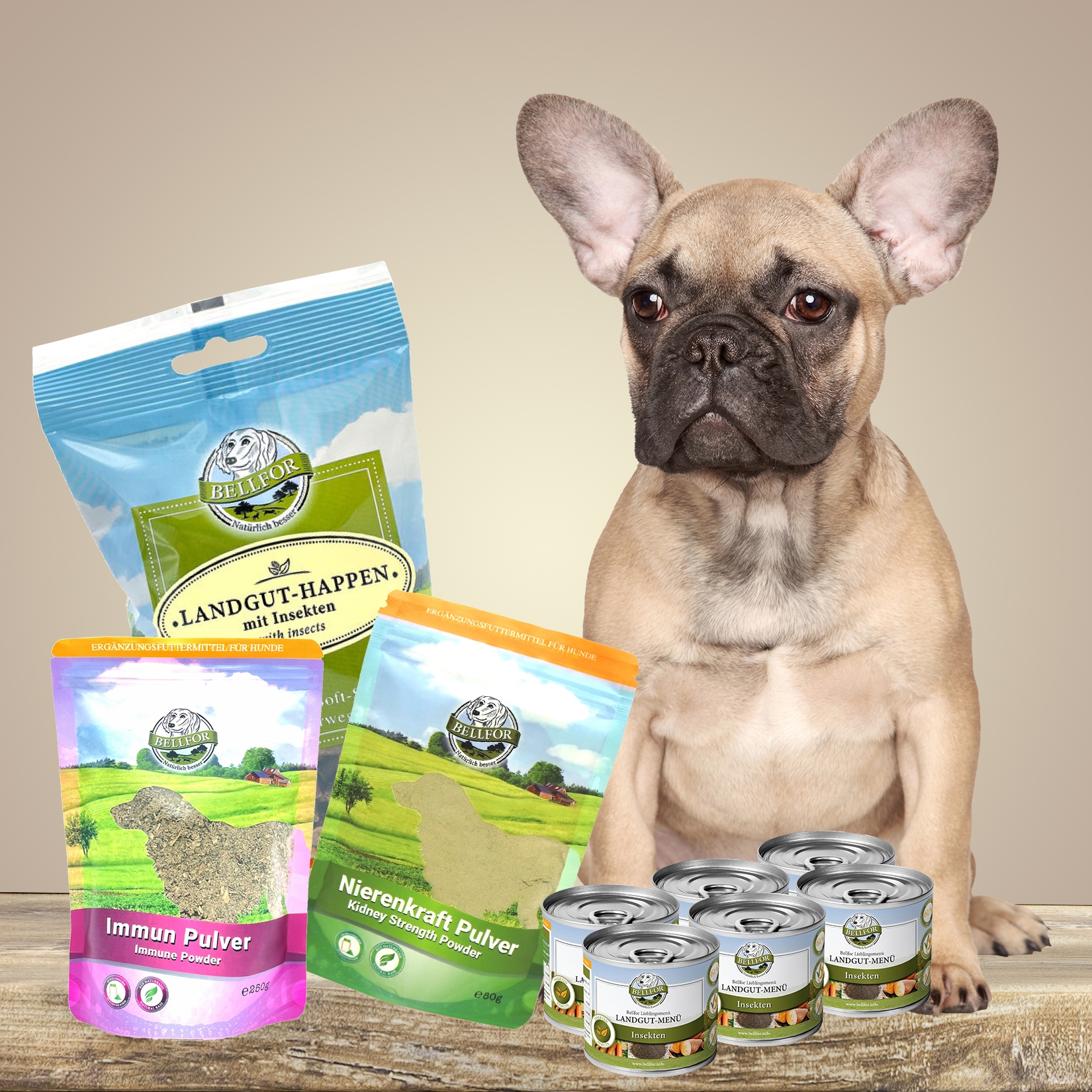 Hypoallergenes Hundefutter Nass im Sparset für kleine Hunde