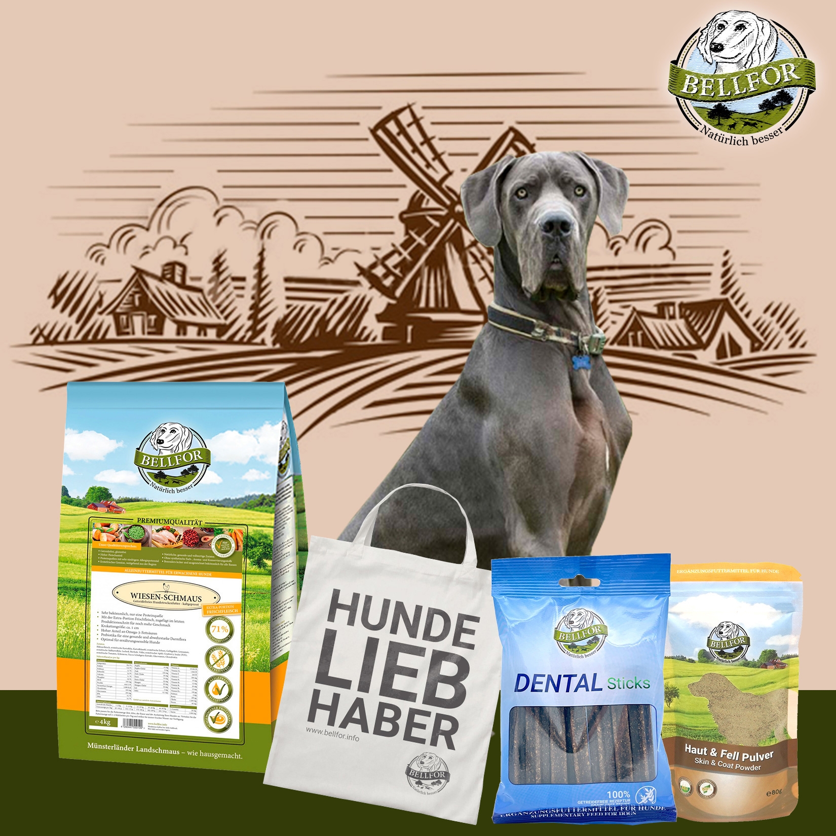 Deutsche Doggen Futter Set - Wiesen-Schmaus 4 kg + Dental Sticks 100 g + Haut & Fell Pulver 80 g + 1 Jutebeutel