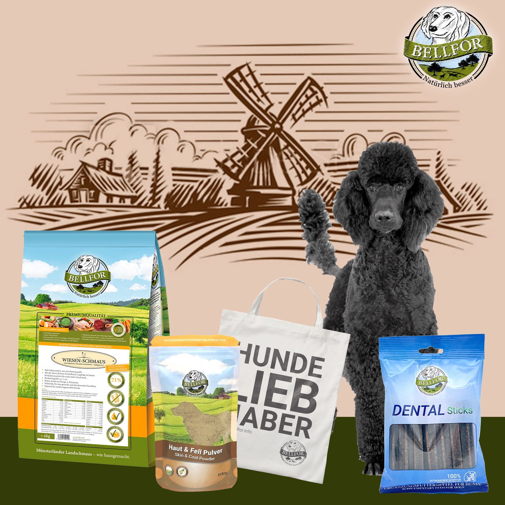Groß Pudel Futter Set - Wiesen-Schmaus 4 kg + Dental Sticks 100 g + Haut & Fell Pulver 80 g + 1 Jutebeutel