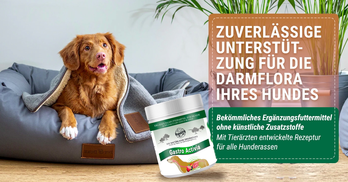 Gastro Activia Gastro Activia