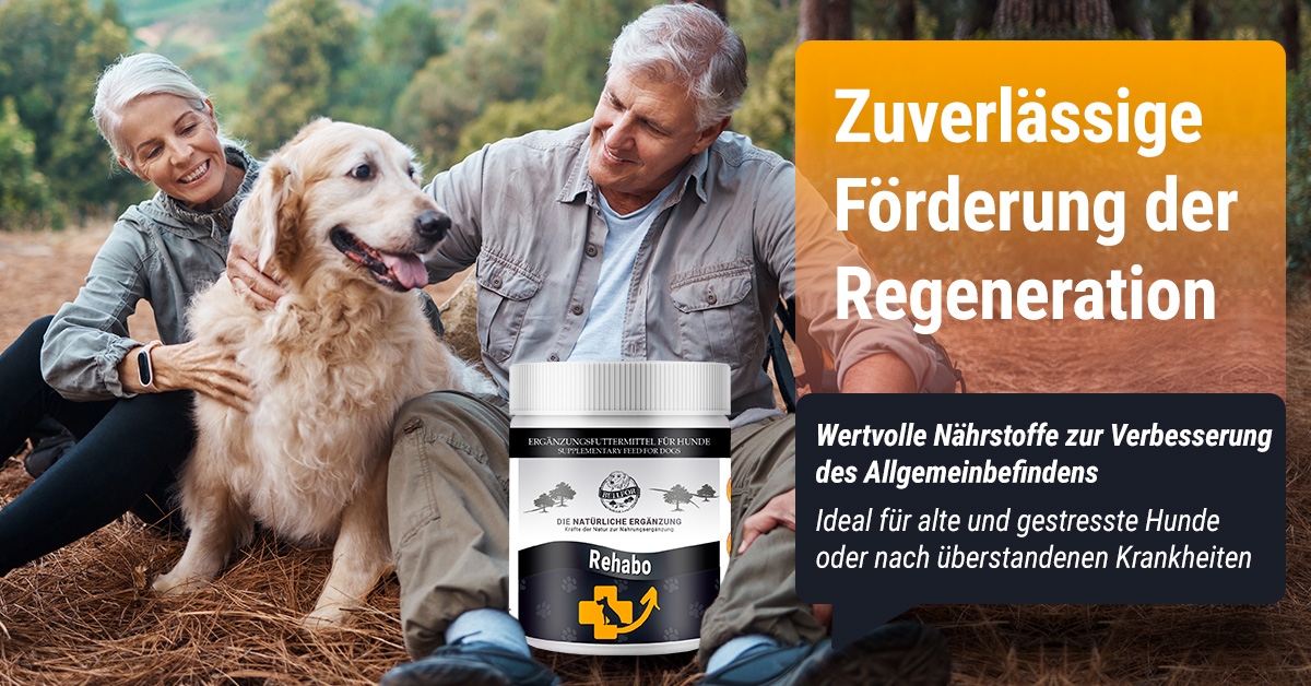 Regeneration Regeneration