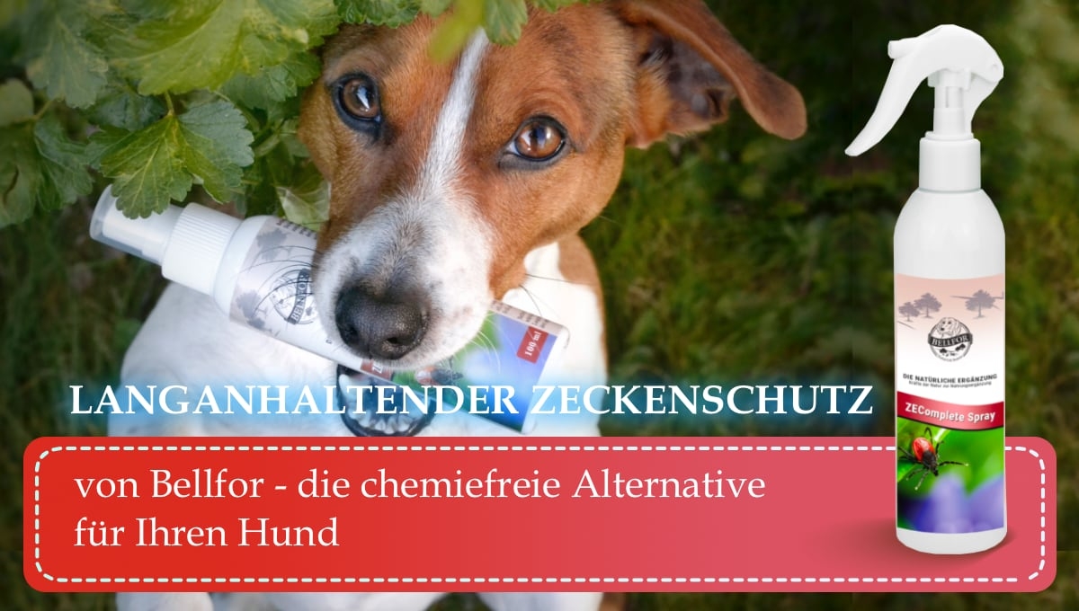 ZEComplete Spray New