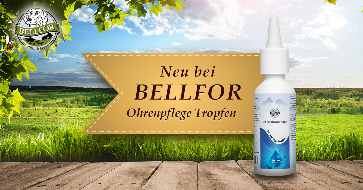 Ohrenpflege Ohrenpflege