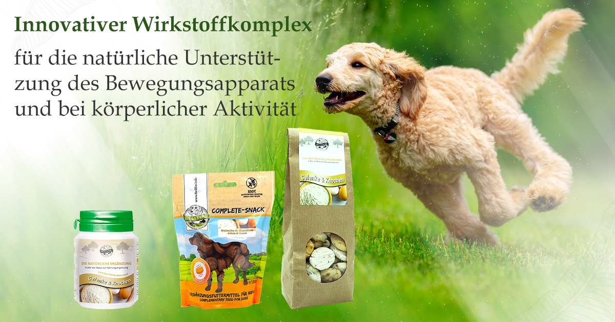 Gelenke & Knochen Gelenke & Knochen