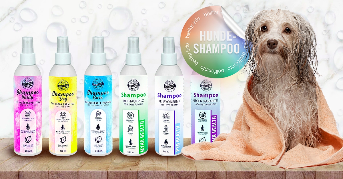 Hundeshampoo New