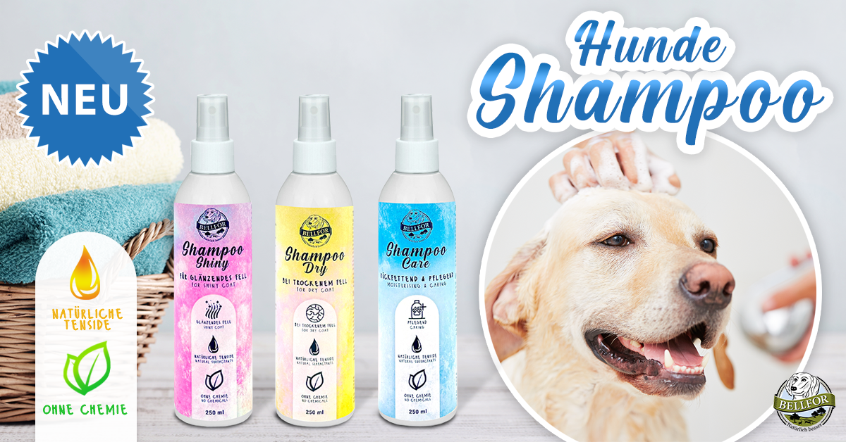Hundeshampoo