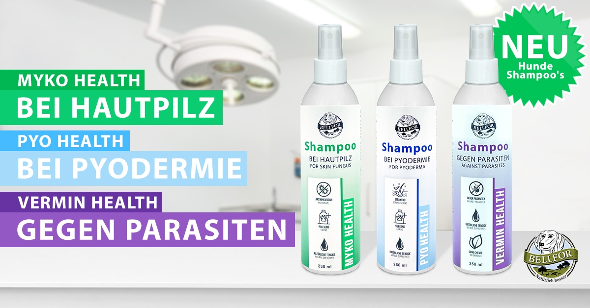 Hundeshampoo Health