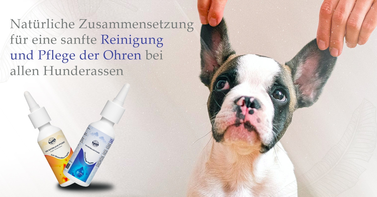 Ohrenpflege Ohrenpflege Ohrenpflege Ohrenpflege