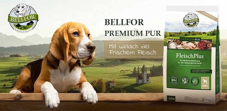 extra portion of meat