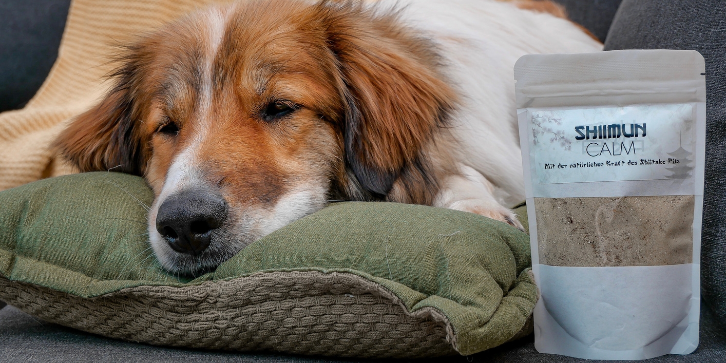 Shiimun Calm Shiimun Calm