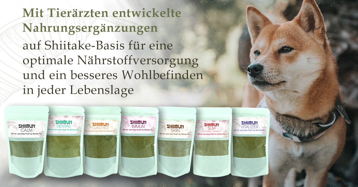 Shiimun Shiimun Shiimun Shiimun