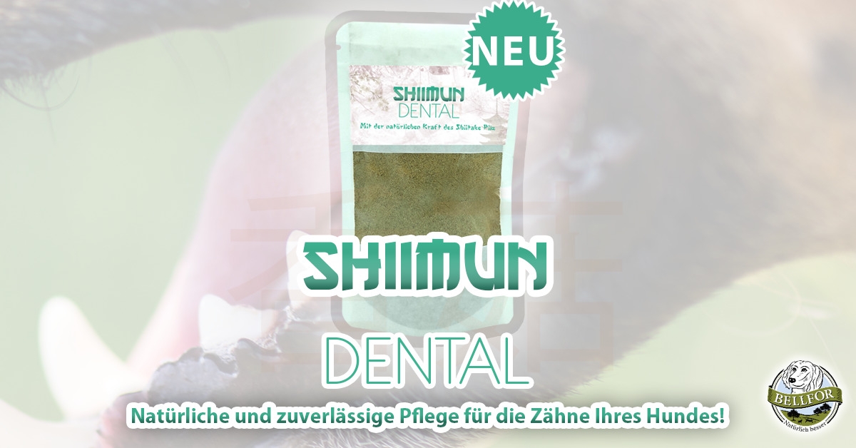 Shiimun Dental Shiimun Dental