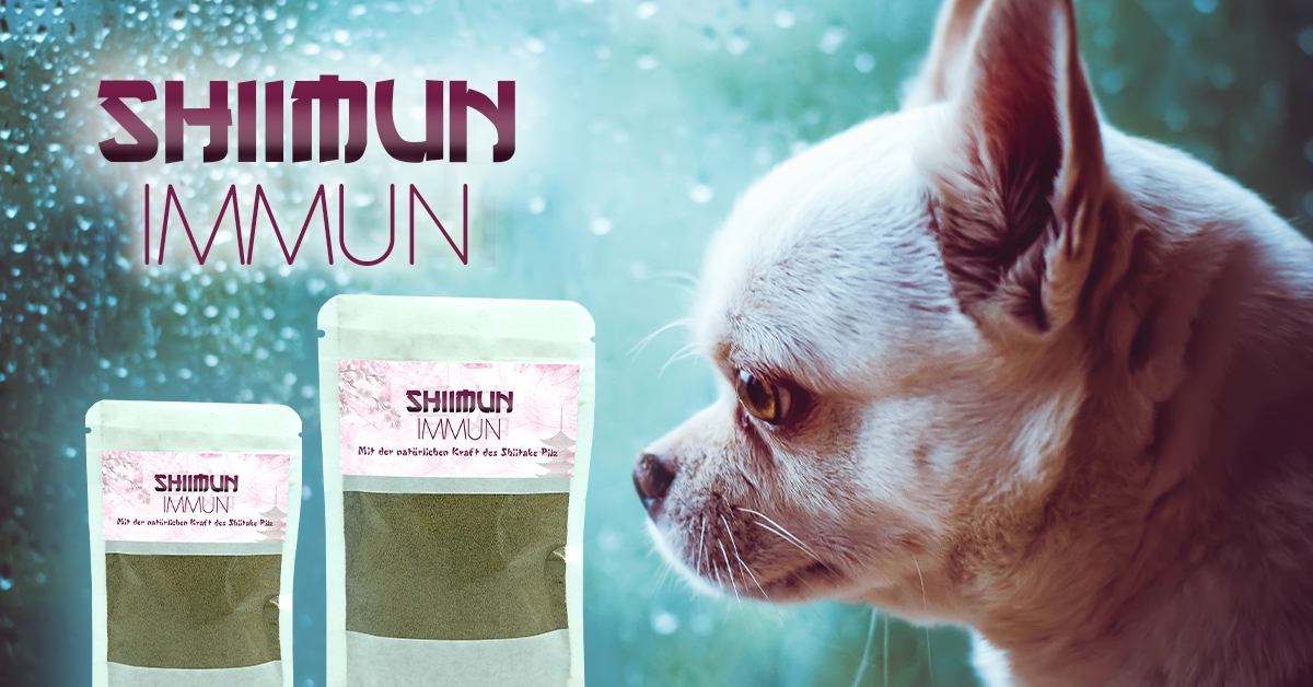 Shiimun Immun Shiimun Immun