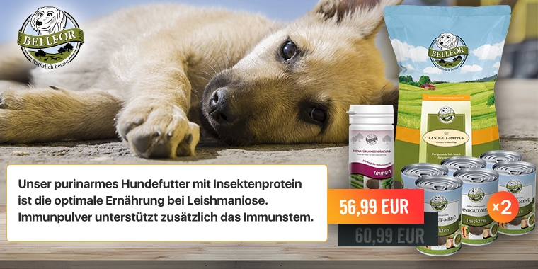Bellfor Leishmaniose Set