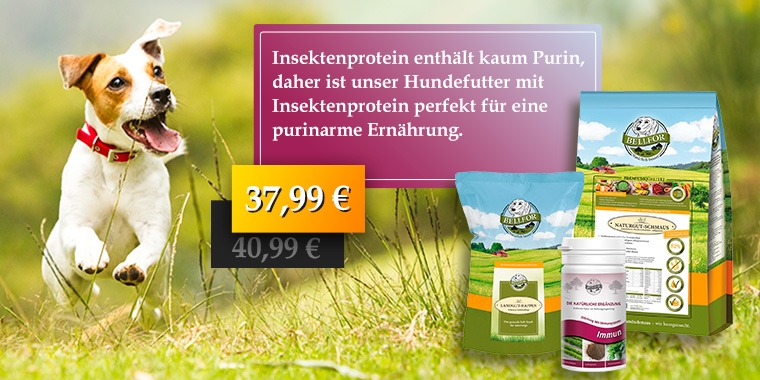 Bellfor Purinarm Set