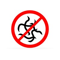 Entwurmungsmittel für Hunde: Tipps für die Parasitenbekämpfung