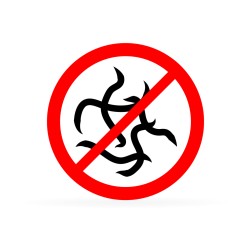 Entwurmungsmittel für Hunde: Tipps für die Parasitenbekämpfung