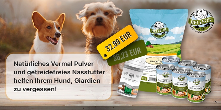 Bellfor Giardien Set