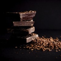 Hund hat Schokolade gefressen: darum besteht Lebensgefahr