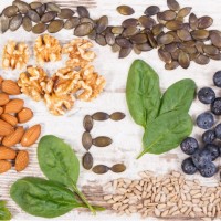 Vitamin E für Hunde: Wirkung, Vorkommen und Mangelerscheinungen