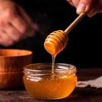 Süßer Genuss oder Gesundheitsrisiko? Alles über Honig für Hunde