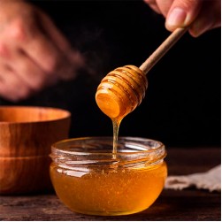Süßer Genuss oder Gesundheitsrisiko? Alles über Honig für Hunde
