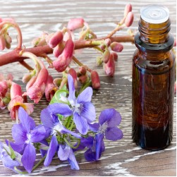 Sind Bachblüten für Hunde sinnvoll?