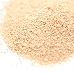 Kann Bierhefe eine Infektion mit Hefepilz auslösen?