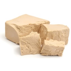 Bierhefe für Hunde: sinnvolle Unterstützung für das Wohlbefinden?