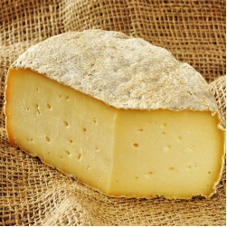 Dürfen Hunde Käse essen?