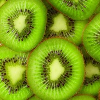 Dürfen Hunde Kiwi essen?