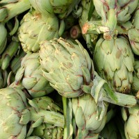 Dürfen Hunde Kohlrabi essen?