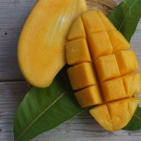 Dürfen Hunde Mango essen?