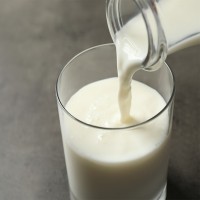 Dürfen Hunde Milch trinken?