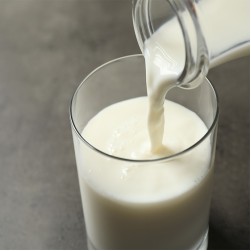 Dürfen Hunde Milch trinken?