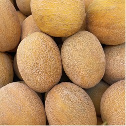 Dürfen Hunde Melone essen?