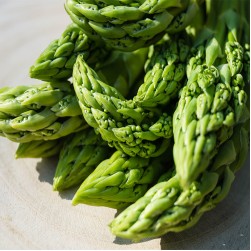 Dürfen Hunde Spargel essen?