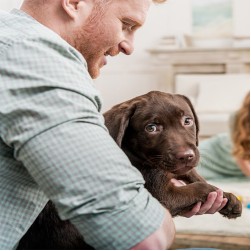 Erste Hilfe beim Hund – so können Sie Ihrem Vierbeiner helfen