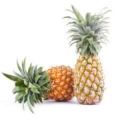 Dürfen Hunde Ananas essen?