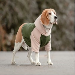 Hundebekleidung für jede Jahreszeit